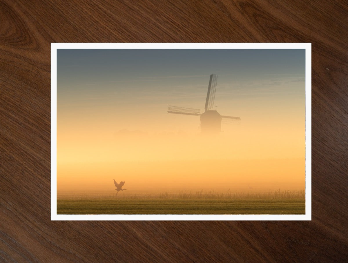 Golden Fog print