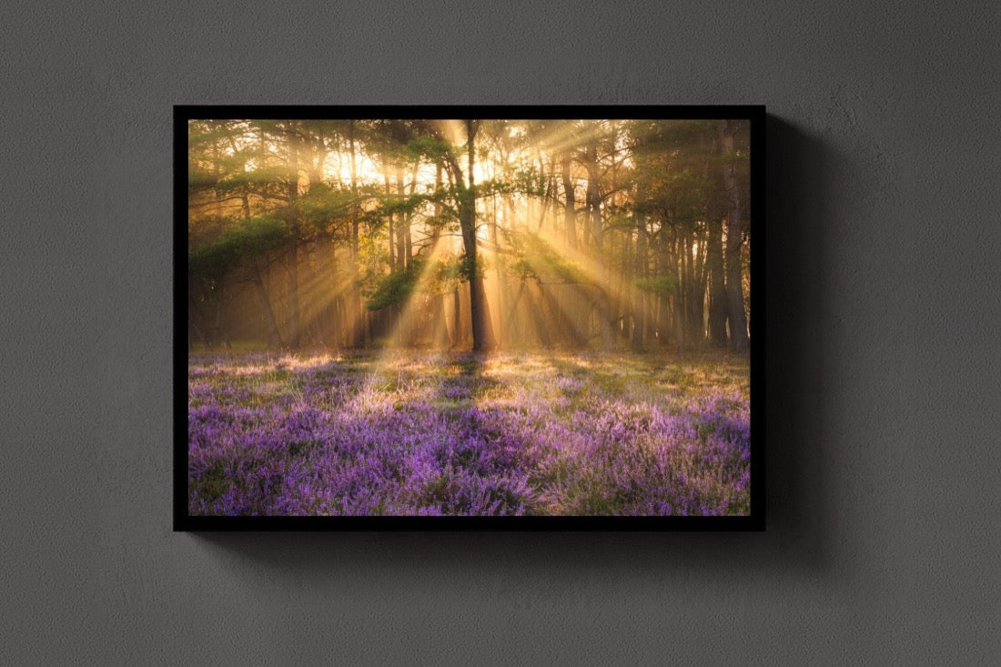 Heather and Light lijst