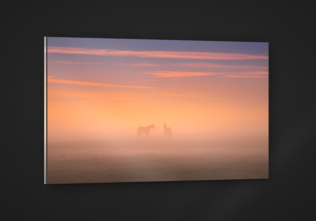 Horses in the Mist acryl