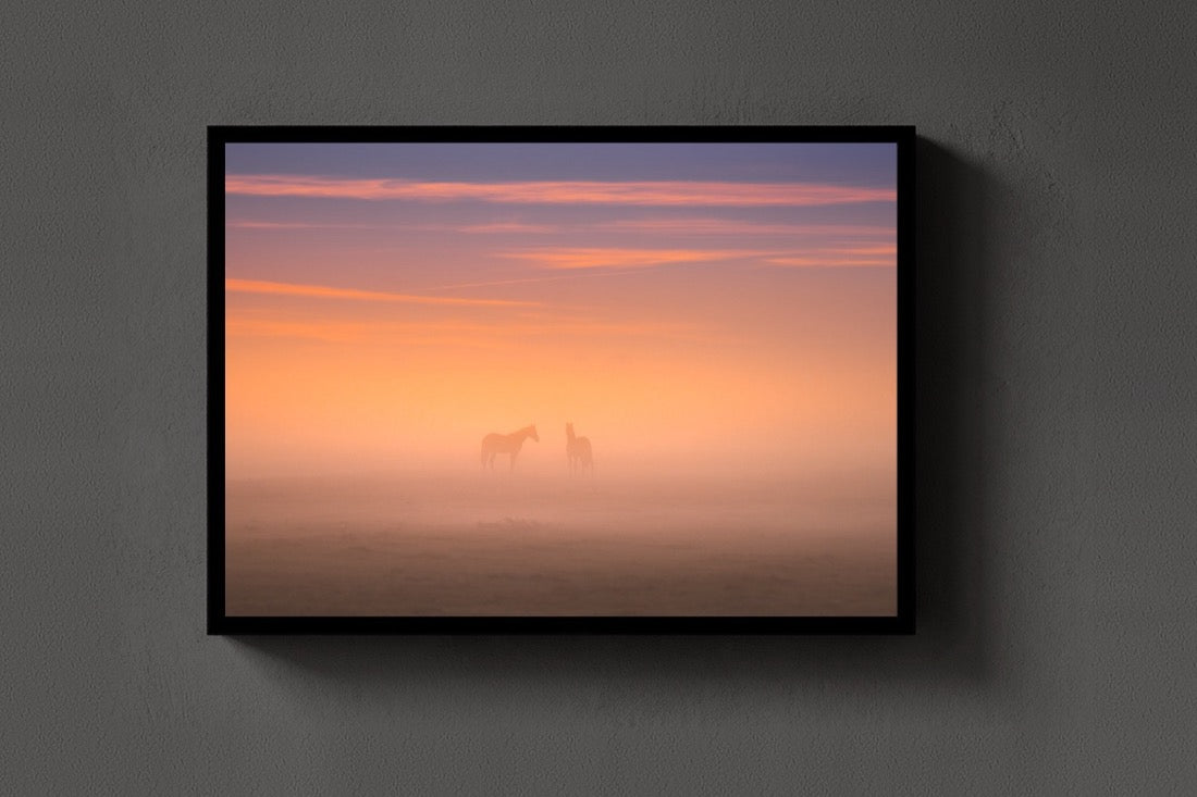 Horses in the Mist lijst