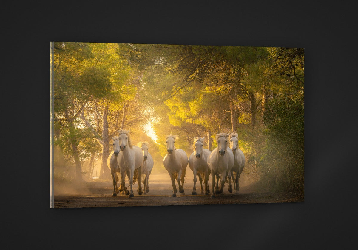Horses in the Woods acryl
