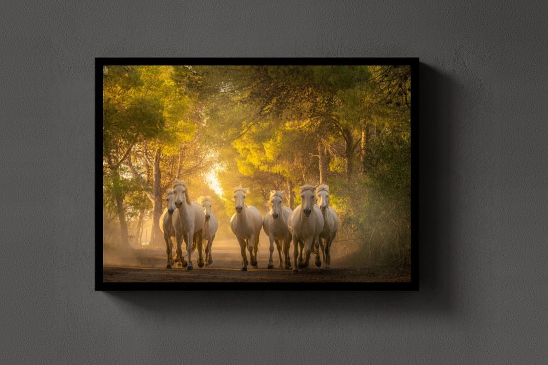 Horses in the Woods lijst