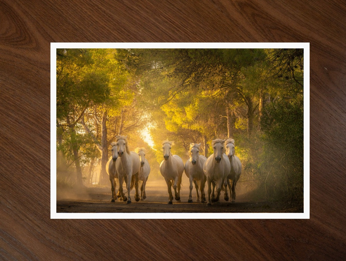 Horses in the Woods print