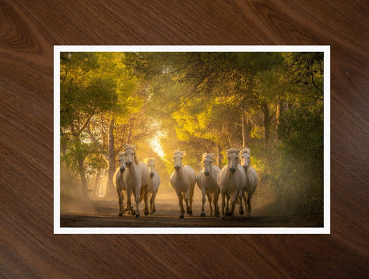 Horses in the Woods print