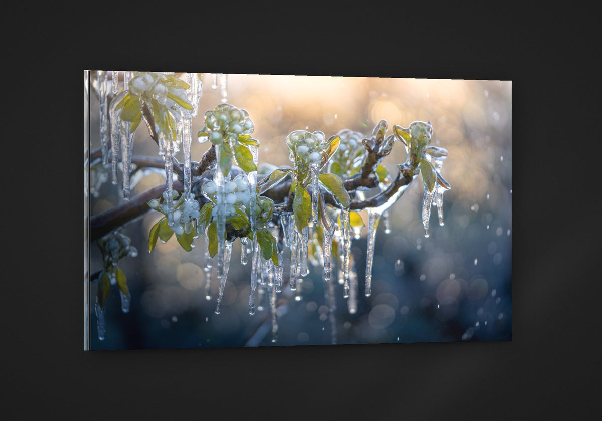 Ice on Spring acryl