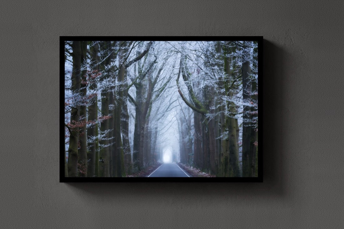Into the White lijst