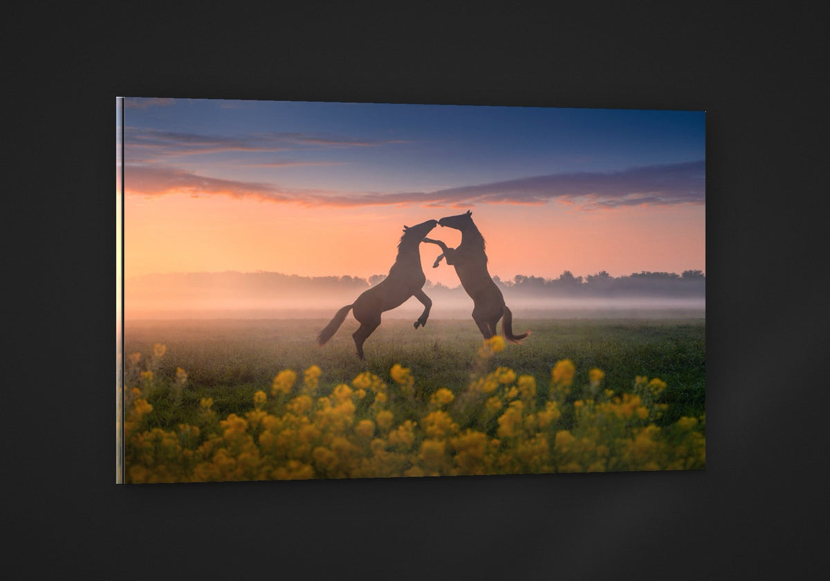 Kissing Horses acryl