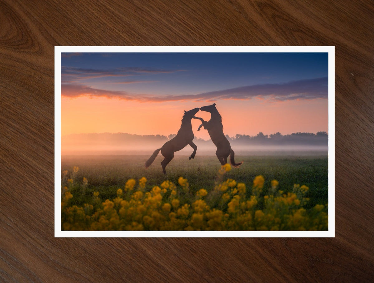 Kissing Horses print