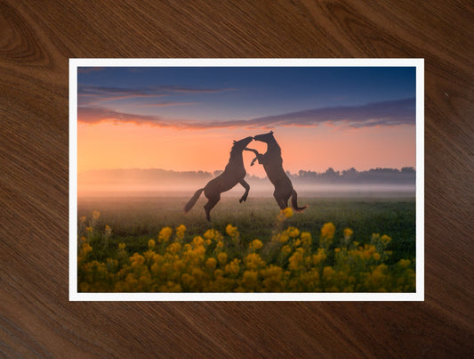 Kissing Horses print
