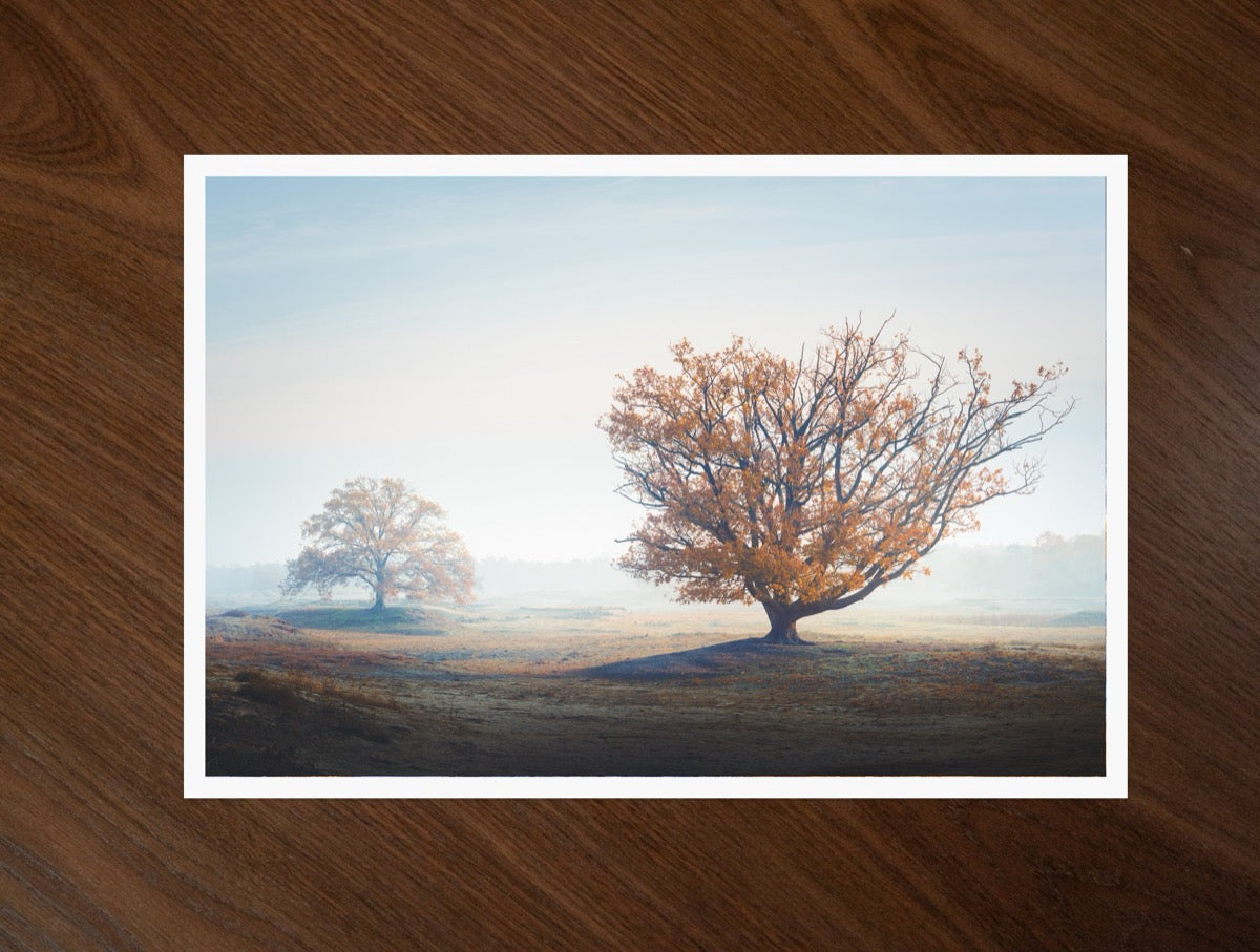 Last Leaves print