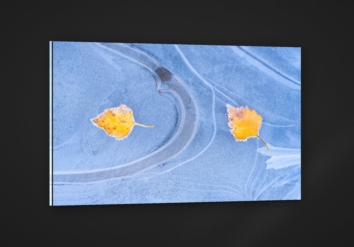 Leaves on Ice acryl