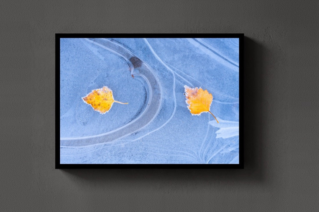 Leaves on Ice lijst