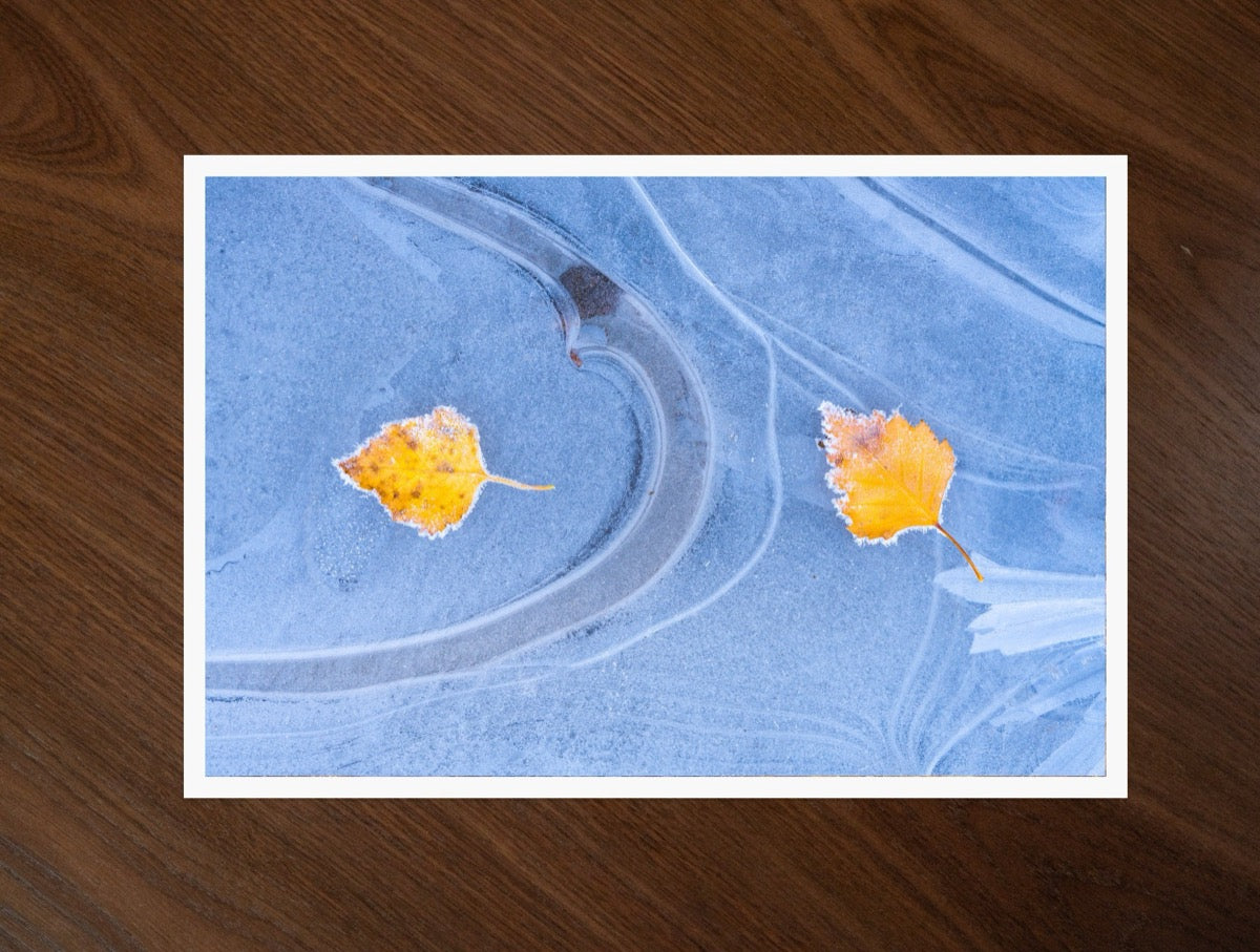 Leaves on Ice print
