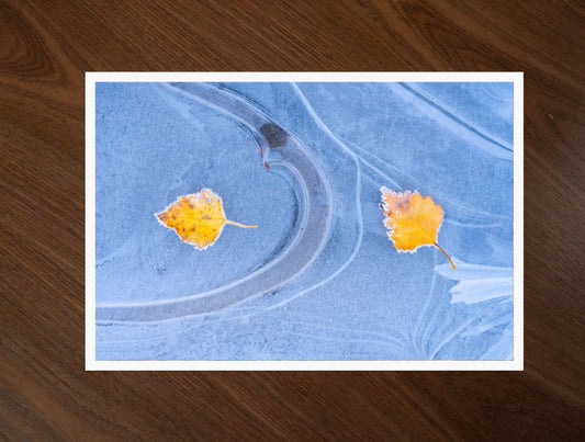 Leaves on Ice print