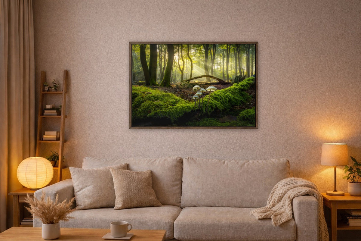Light on the Moss lijst kamer