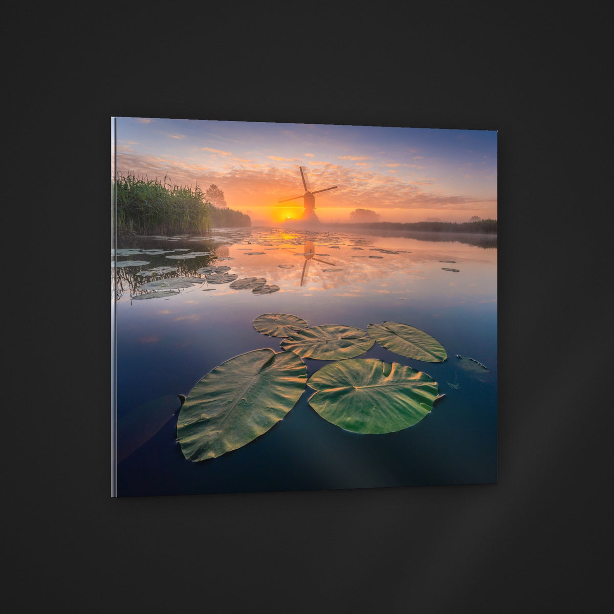 Lilies at Sunset acryl