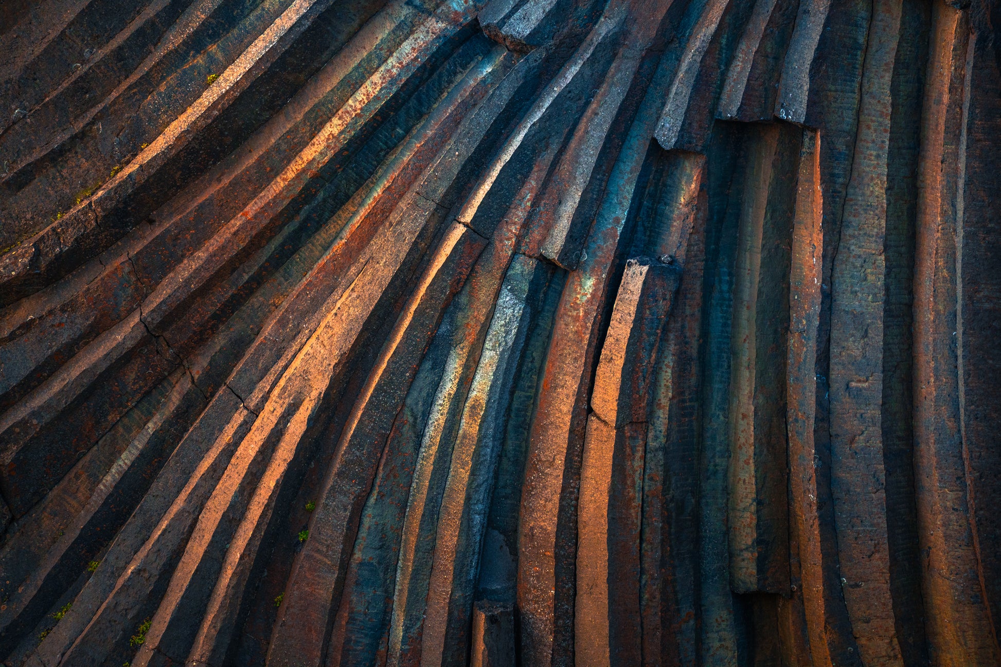 Lines of Time