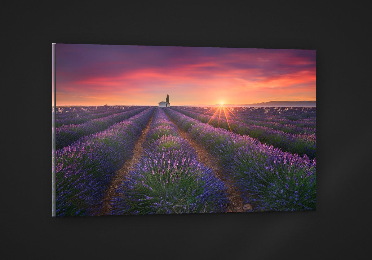 Living in Purple acryl