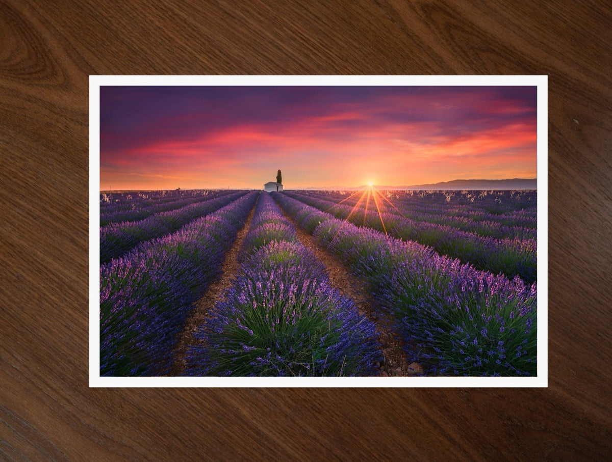 Living in Purple print
