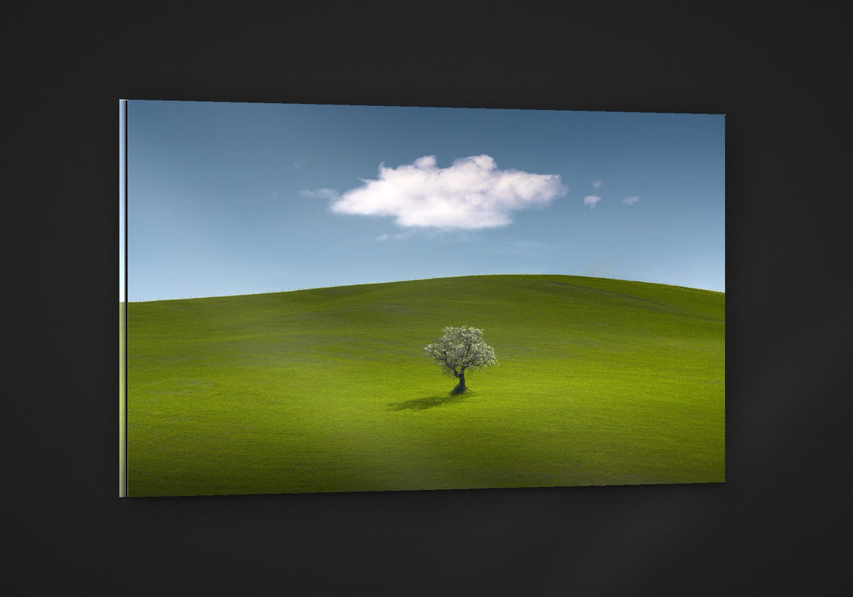 Lone Tree acryl