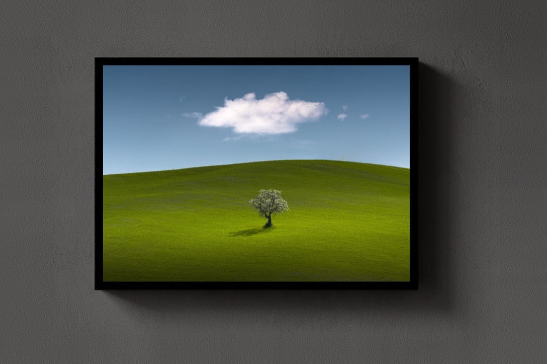 Lone Tree lijst