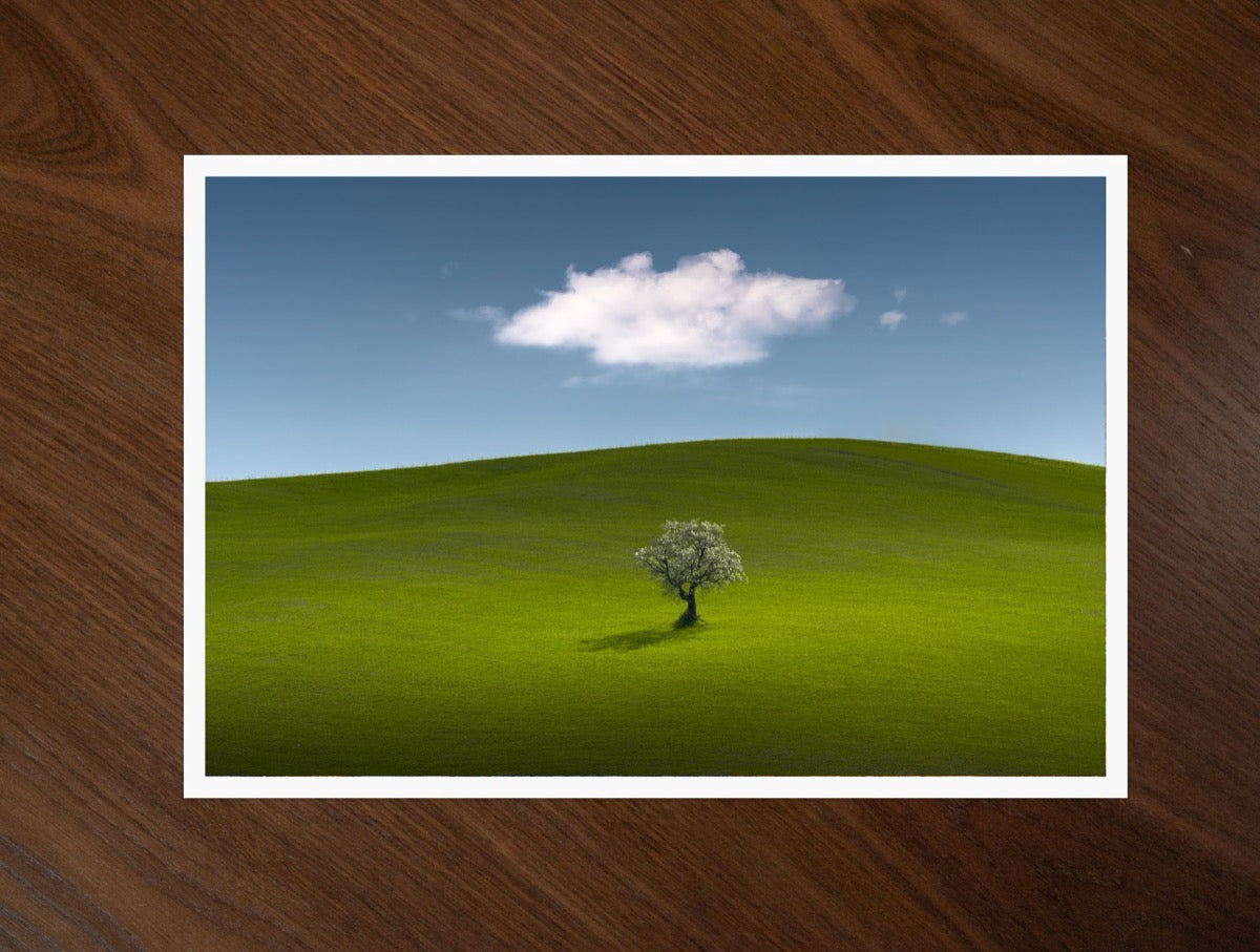 Lone Tree print
