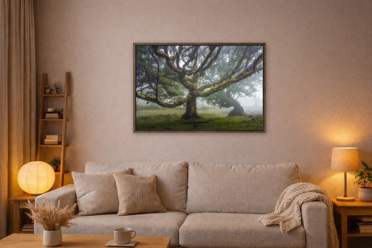 Madeira Dance lijst kamer