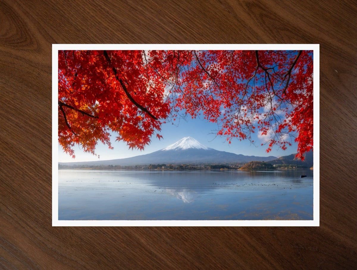 Maple Frame print