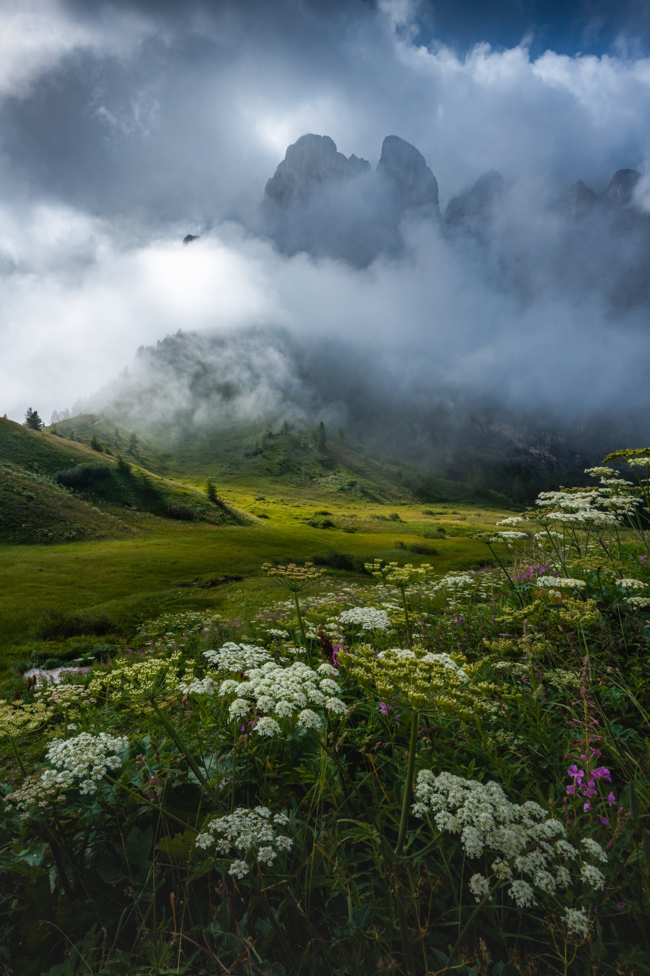 Meadow in the Clouds