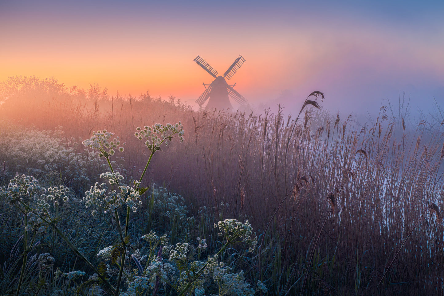 Mill of the North