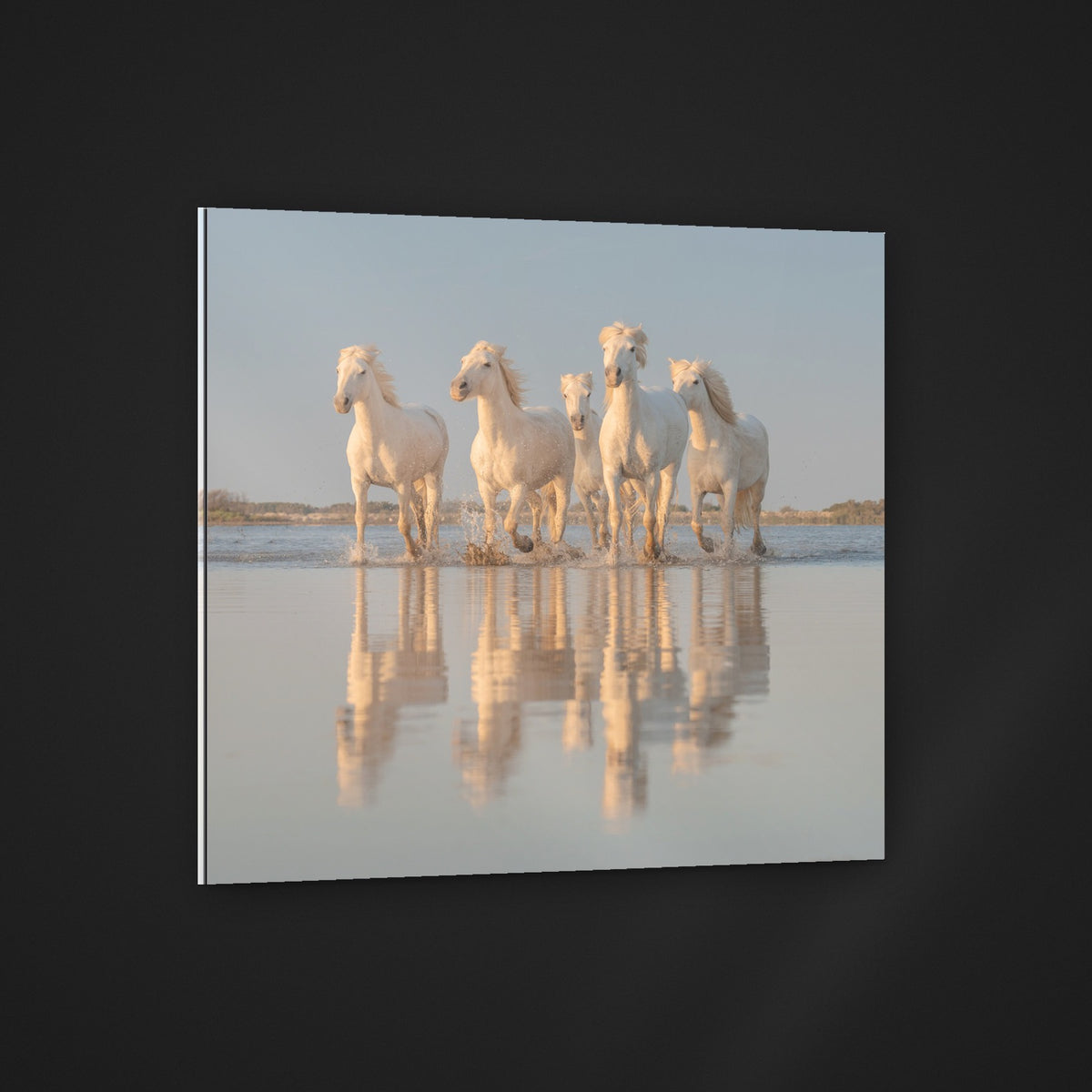 Mirror Herd acryl