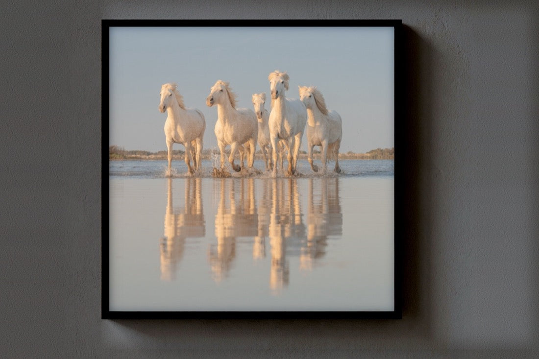 Mirror Herd print