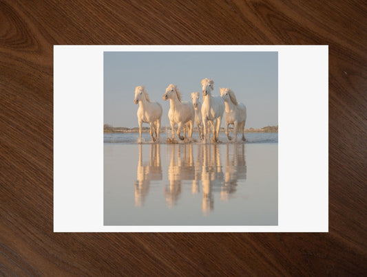 Mirror Herd print