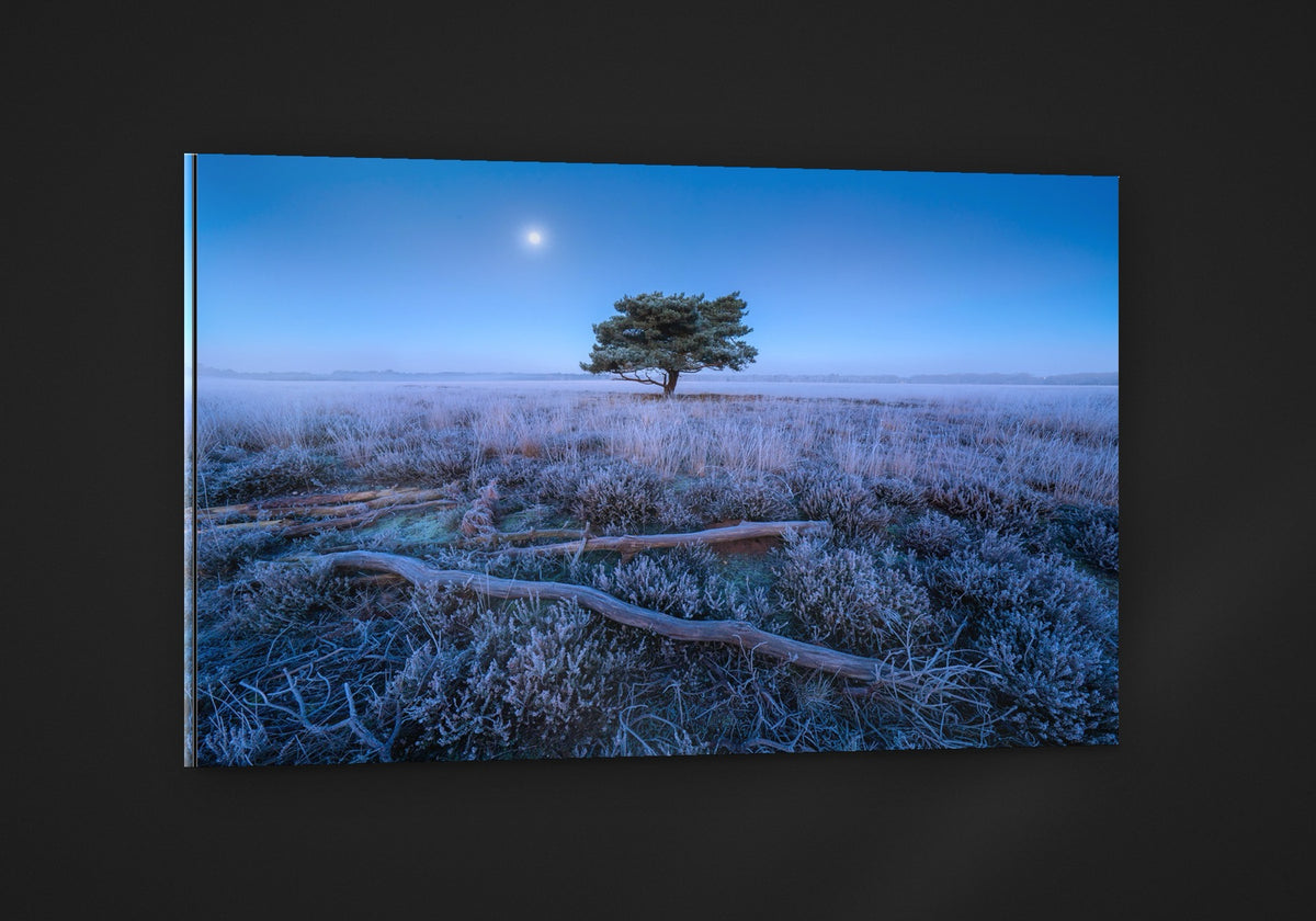 Moon over the Heath acryl