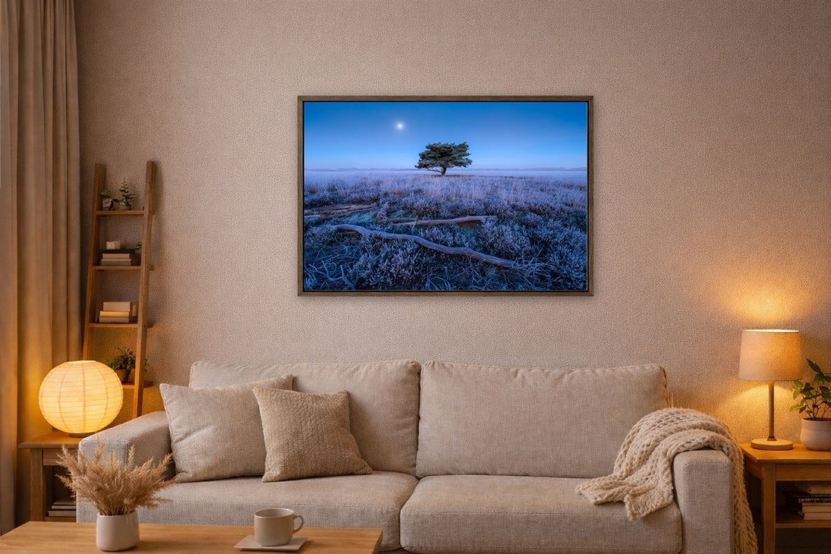 Moon over the Heath lijst kamer