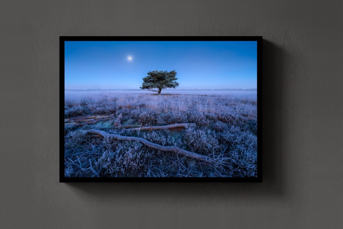 Moon over the Heath lijst