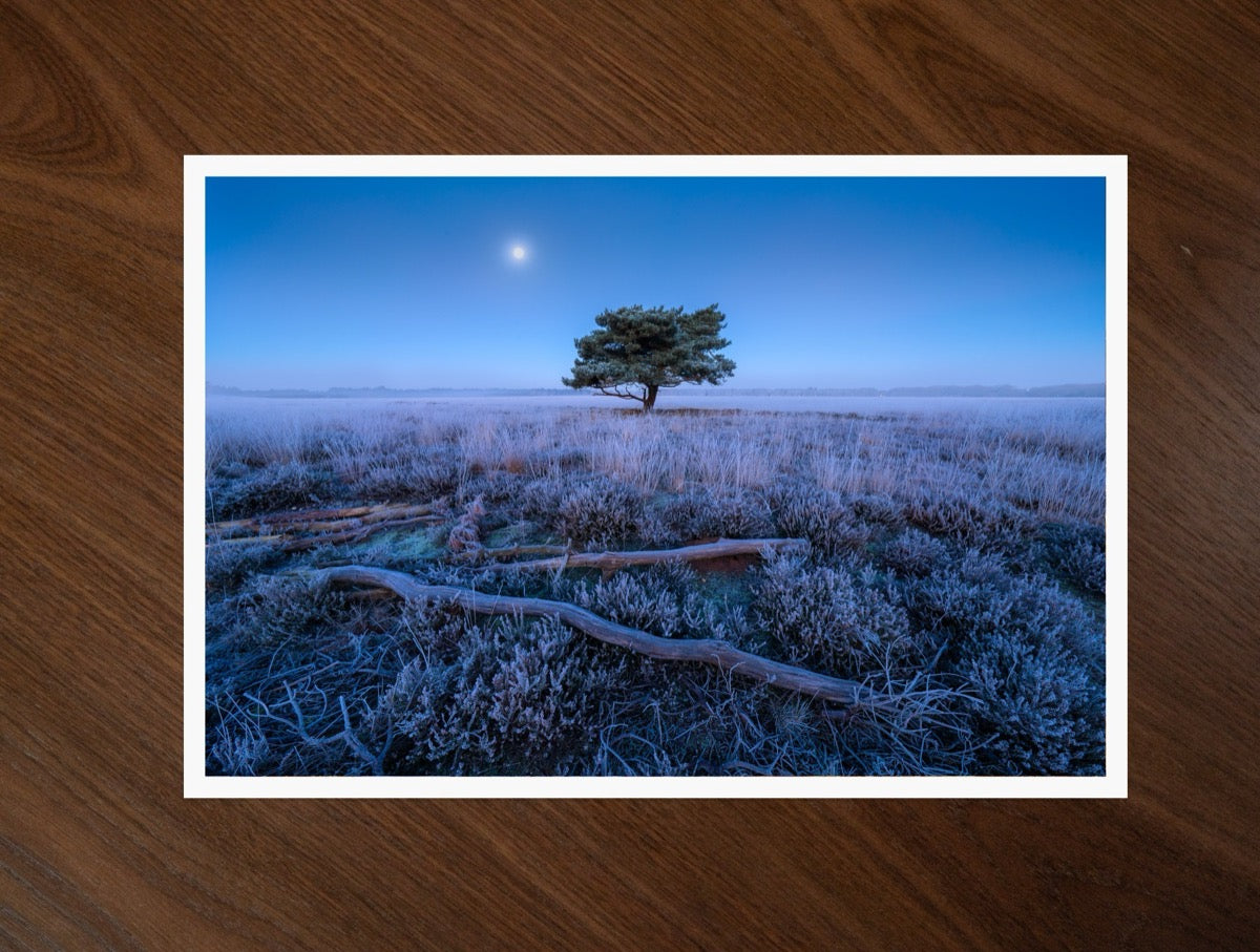 Moon over the Heath print