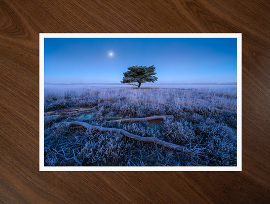 Moon over the Heath print