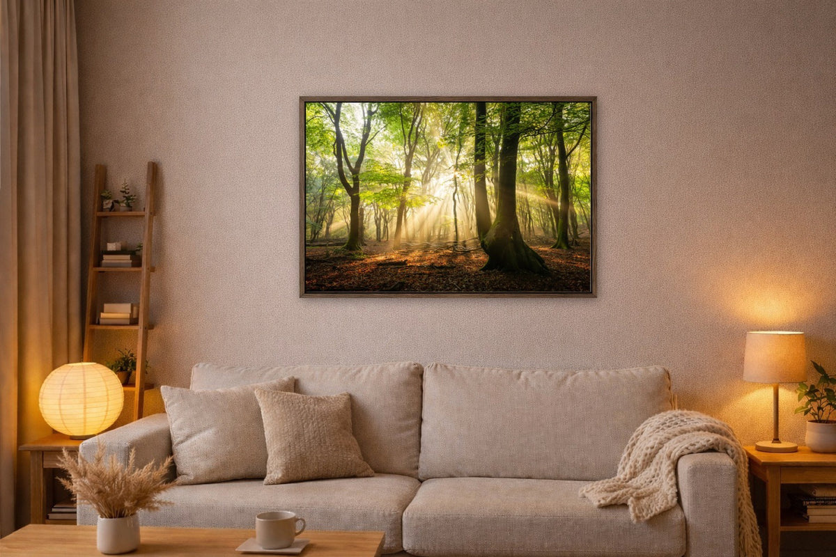Morning Beams lijst kamer