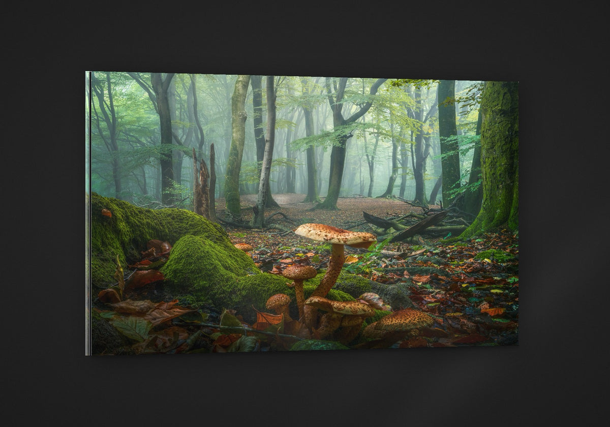 Mushroom World acryl
