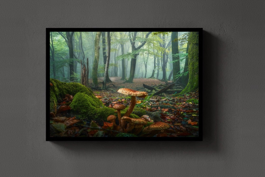 Mushroom World lijst