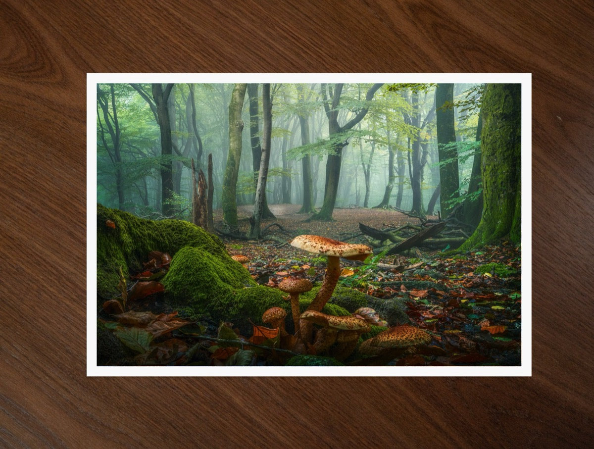 Mushroom World print