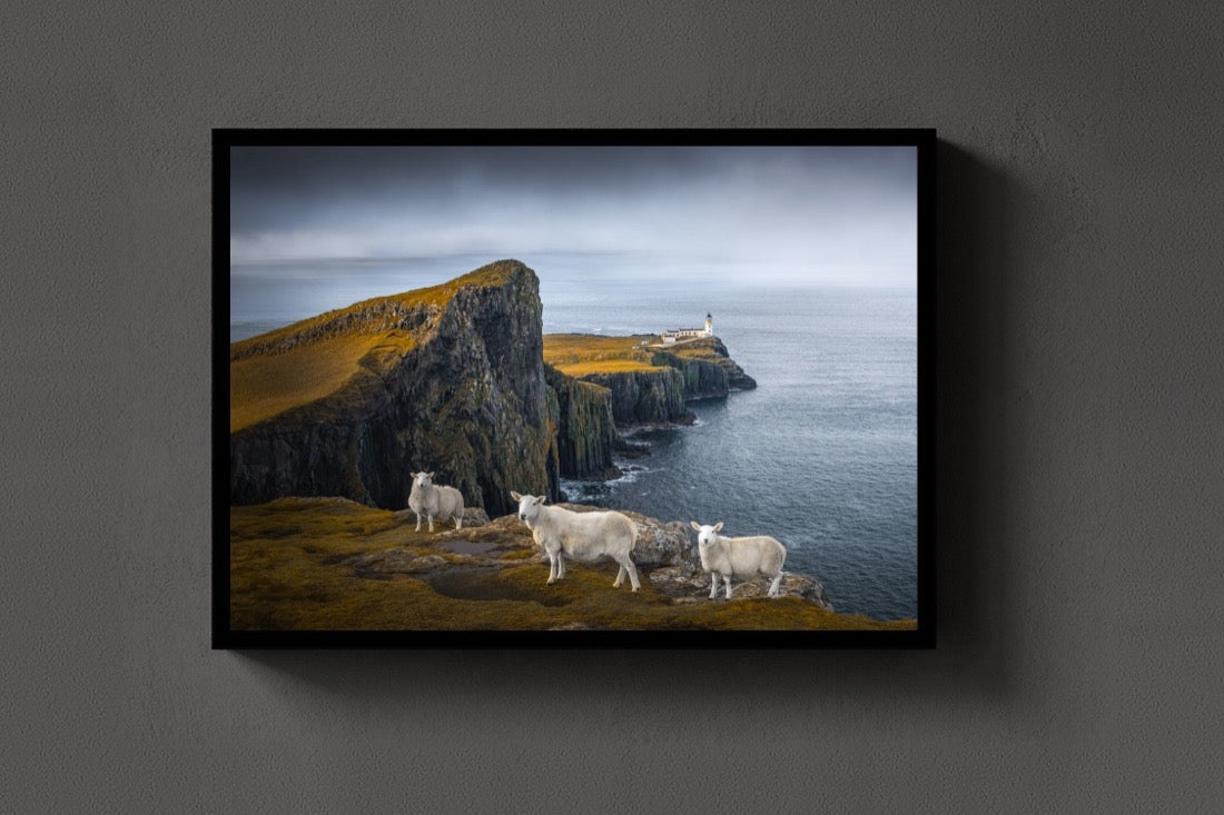 Neist Point Sheep lijst