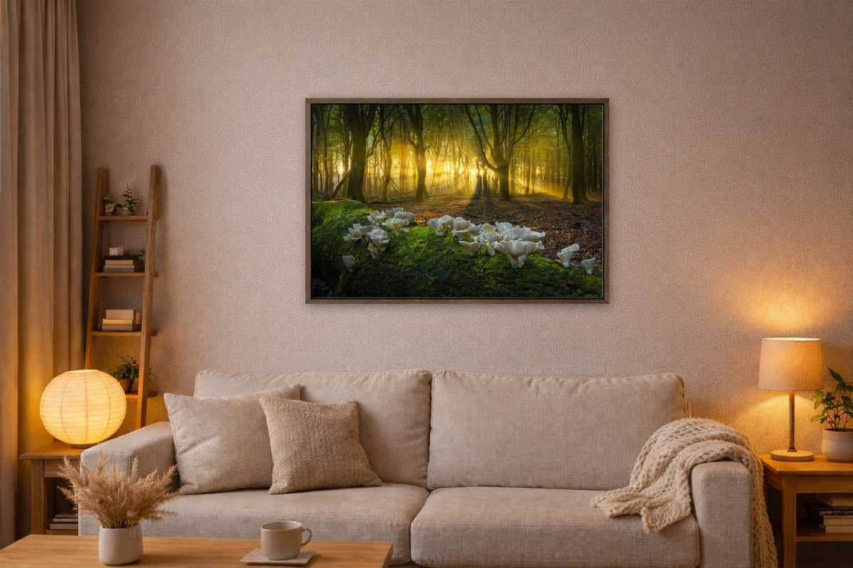 Oysters at Sunrise lijst kamer