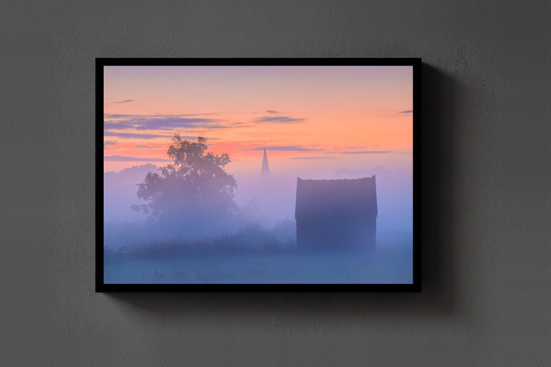 Pink Fog lijst