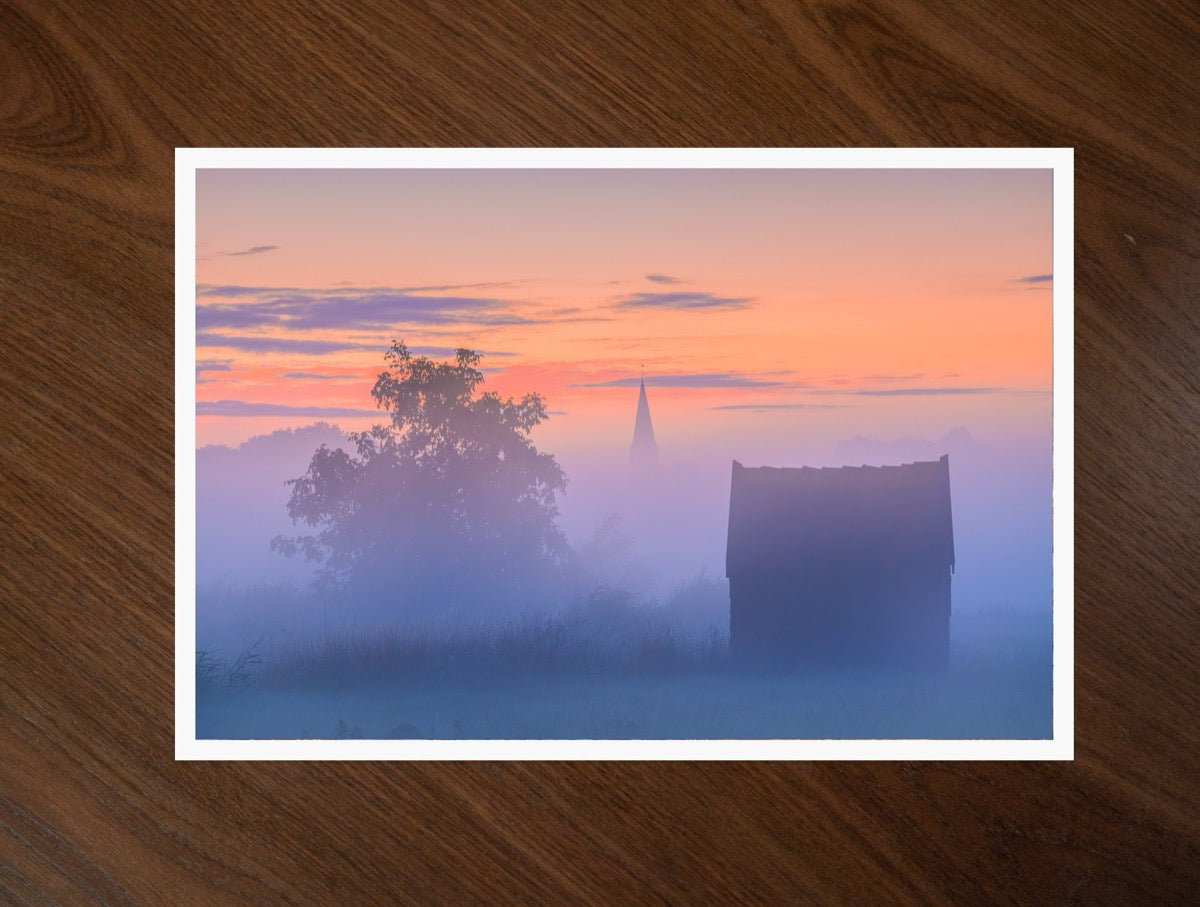 Pink Fog print