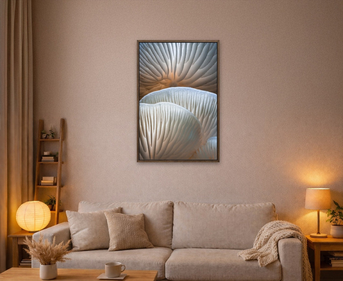 Porcelain Curves lijst kamer