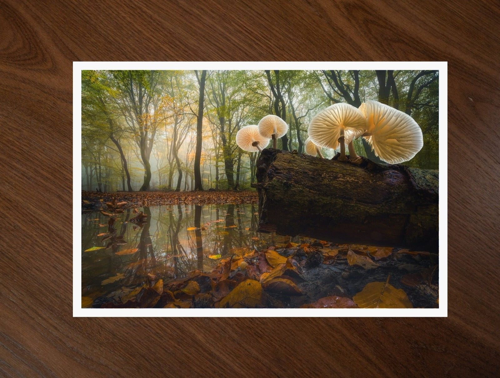 Porcelain Dance print