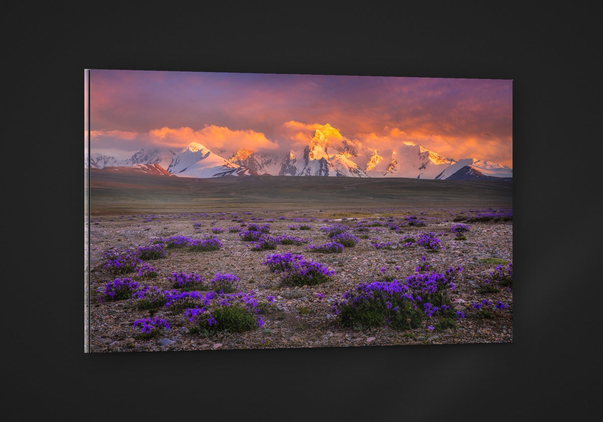 Purple Plains acryl