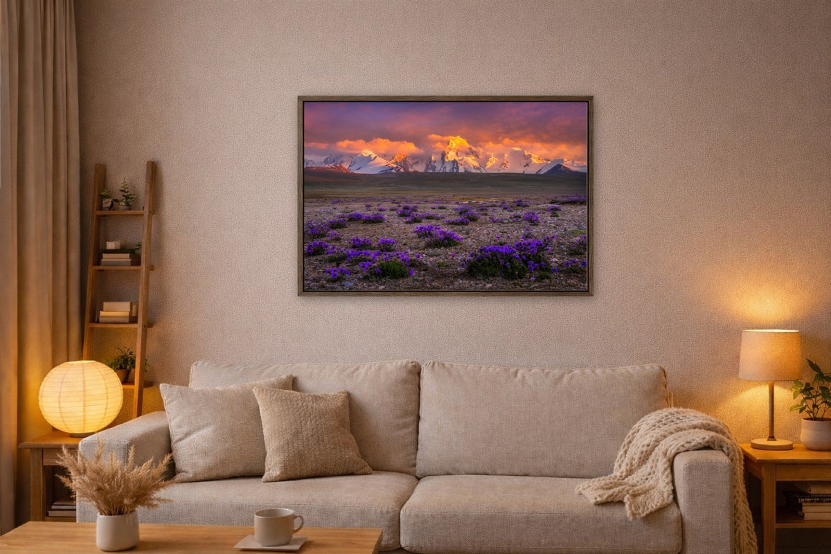 Purple Plains lijst kamer